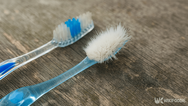 칫솔모 자료 사진. / 위키푸디