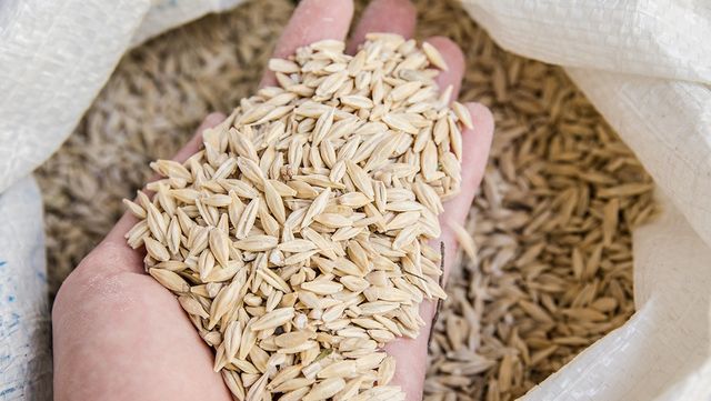 현미를 손에 쥐고 있다. / jorik-shutterstock.com