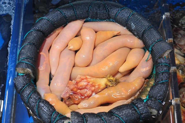 바구니에 개불이 가득 들어 있다. / Yeongsik Im-shutterstock.com