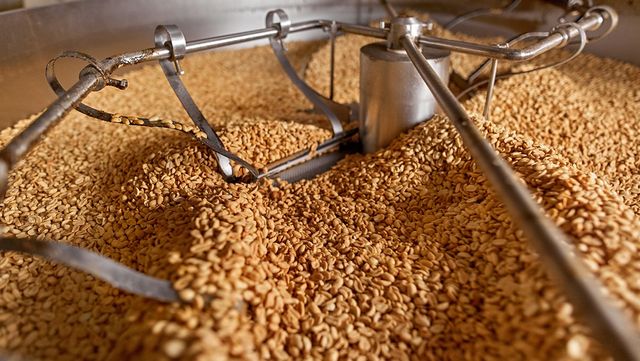 땅콩 품종에 따라 땅콩버터의 질감과 안정성에도 차이가 난다. / Olga Apanasenko-shutterstock.com