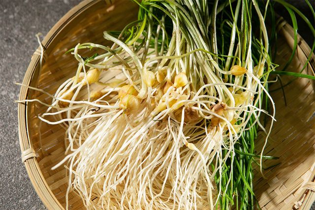 달래가 바구니에 담겨 있다. / mnimage-shutterstock.com