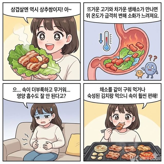 4컷 만화. / 위키푸디