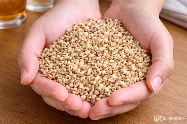 율무를 손에 가득 든 모습이다. / 위키푸디