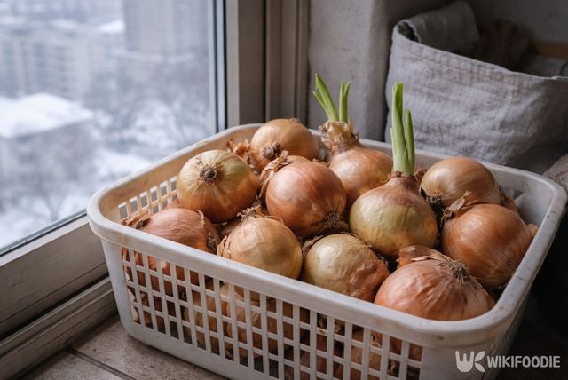 겨울철 베란다에 보관된 양파의 모습이다. / 위키푸디