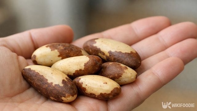 손바닥 위에 올린 브라질너트 6알이다. / 위키푸디