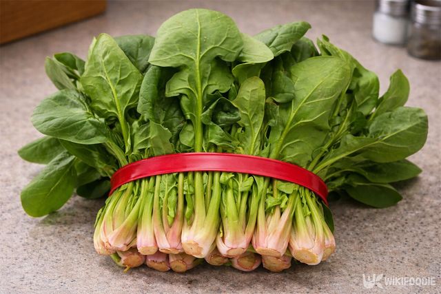 시금치 한 단이 식탁에 놓여 있다. / 위키푸디