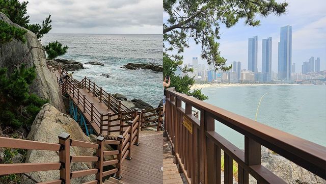 속초 외옹치 바다 향기길, 부산 동백섬 자료 사진. / 한국관광공사, 부산 해운대구 블로그