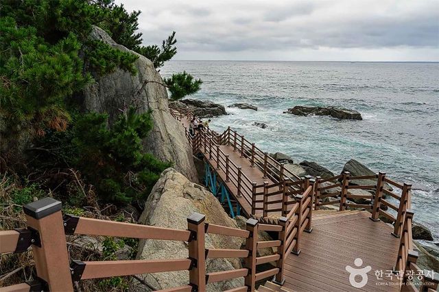 속초 외옹치 바다 향기길의 모습이다. / 한국관광공사