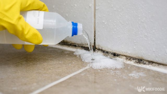 욕실 바닥에 과산화수소를 붓는 사진이다. / 위키푸디