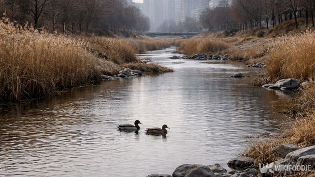 정화 이후 생태가 회복된 굴포천에 물새들이 머물고 있다. 해당 이미지는 기사 이해를 돕기 위해 AI로 재연하였습니다.&nbsp;/ 위키푸디