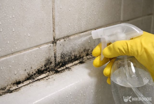 과산화수소를 분무기로 줄눈과 실리콘 틈에 뿌려 곰팡이를 정리하는 모습이다. / 위키푸디