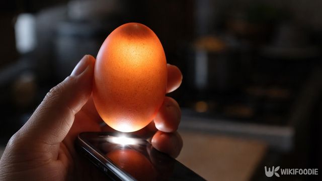 어두운 곳에서 손전등을 비추면 달걀 속 공기층을 확인할 수 있다. / 위키푸디