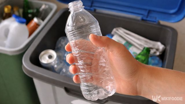 분리수거 쓰레기통 앞에서 손에 쥔 빈 페트병을 버리려는 순간을 담은 사진이다. / 위키푸디