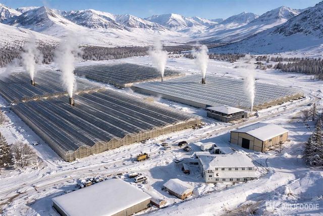 튀르키예 고산지대 아으르의 지열 온실 전경이다. / 위키푸디