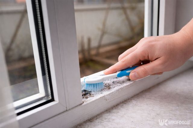 창틀을 칫솔로 문지르고 있다. / 위키푸디