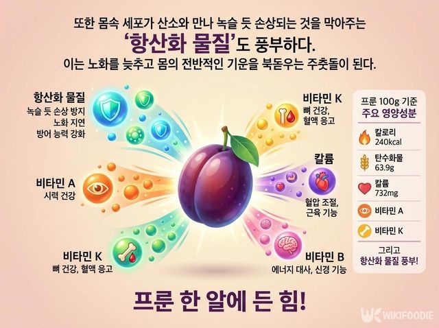 프룬 효능 삽화. / 위키푸디