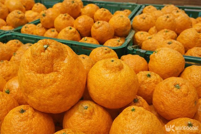 매장 바구니에 제주산 한라봉이 담겨 있다. 기사의 이해를 돕기 위한 참고 사진입니다. / 위키푸디