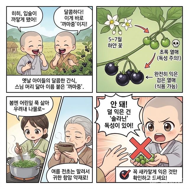 4컷 만화. / 위키푸디