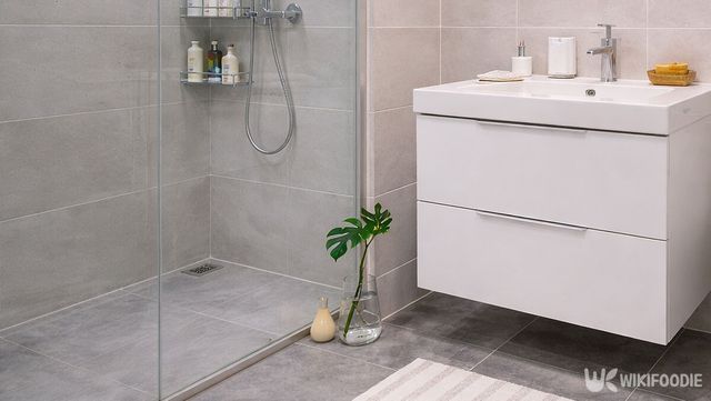 욕실에 어린 몬스테라잎이 담긴 화분이 놓여 있다. / 위키푸디