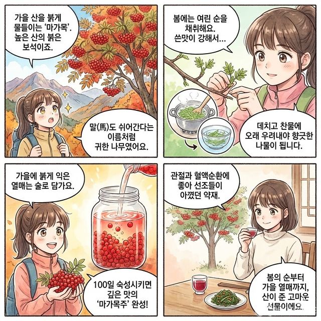 4컷 만화. / 위키푸디