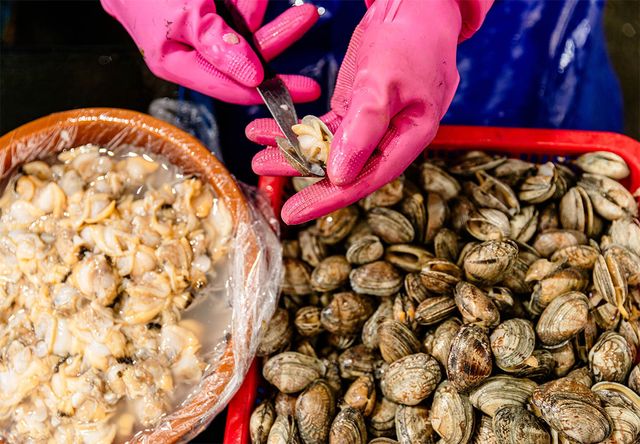 수산시장에서 바지락 껍데기를 까는 모습이다. / Stock for you-shutterstock.com