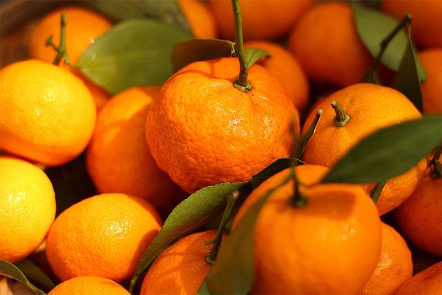 만다린이 한데 놓여 있다. / Ariyanti_Sutrisno-shutterstock.com