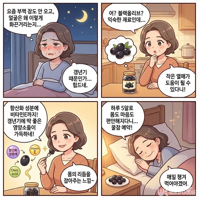 4컷 만화. / 위키푸디