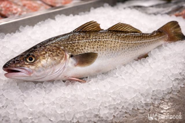 제철을 맞아 살이 단단한 생대구다. / 위키푸디