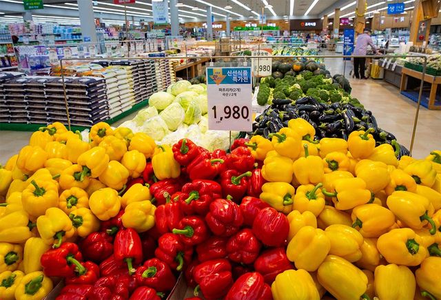 마트 판매대에 여러 색의 파프리카가 담겨 있다. / Stock for you-shutterstock.com