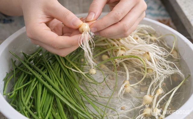 흙을 털어낸 달래를 손질하고 있다. / 위키푸디