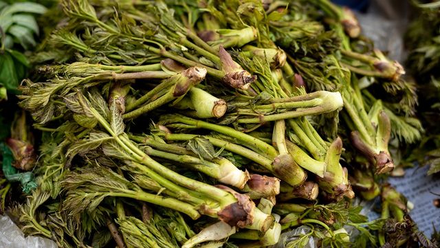 시장에서 두릅을 팔고 있다. / LegoCamera-shutterstock.com