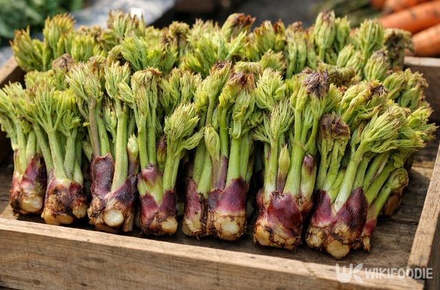 수확 후 시간이 지나며 빠르게 상태가 변하는 두릅이다. / 위키푸디