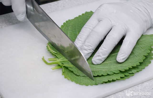 깻잎 줄기를 자르고 있다. / 위키푸디