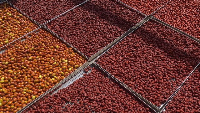 시골에서 수확한 대추를 말리고 있다. / Chen Liang-Dao-shutterstock.com