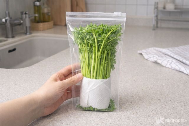 미나리를 키친타월로 감싸 지퍼백에 넣은 모습. / 위키푸디