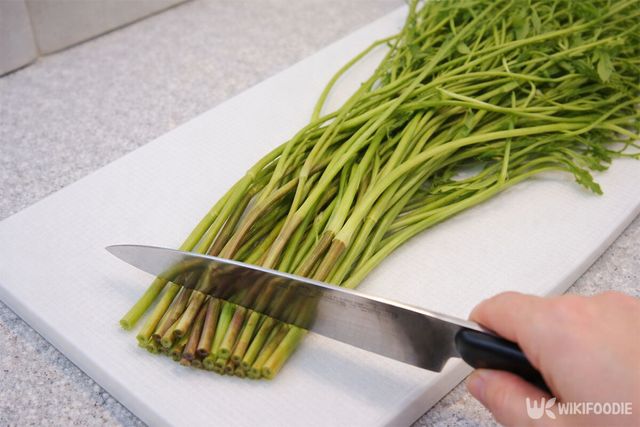 미나리 줄기를 자르고 있다. / 위키푸디