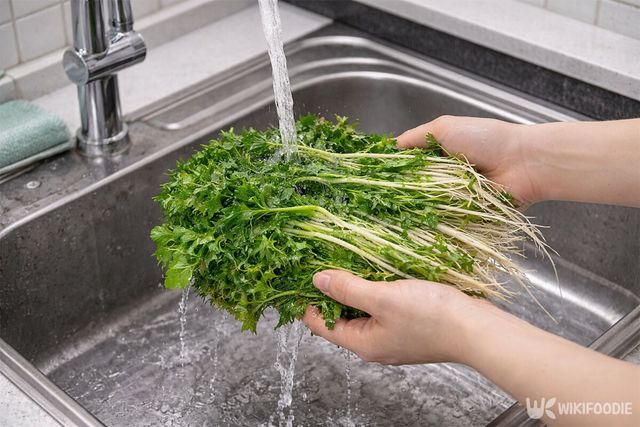 냉이를 흐르는 물에 씻고 있다. / 위키푸디
