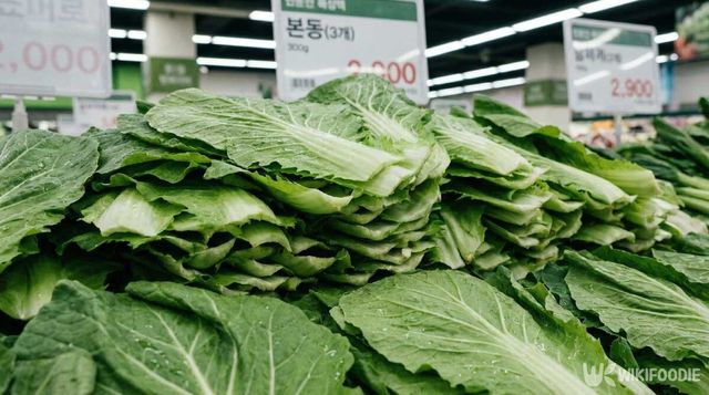 마트에 진열된 봄동 자료사진. / 위키푸디