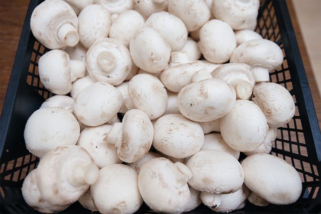 양송이버섯이 바구니에 담겨 있다. / Andrii Medvednikov-shutterstock.com