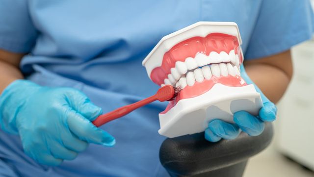 치아 모형에 칫솔을 댄 모습. / sasirin pamai-shutterstock.com