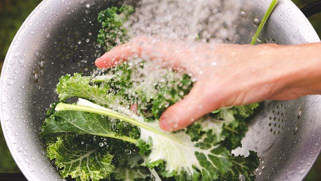 초록색 케일의 잎을 씻고 있다. / Cecilia Di Dio-shutterstock.com