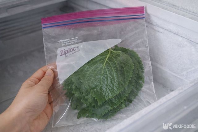 냉동실에 지퍼백에 담은 깻잎을 넣고 있다. / 위키푸디