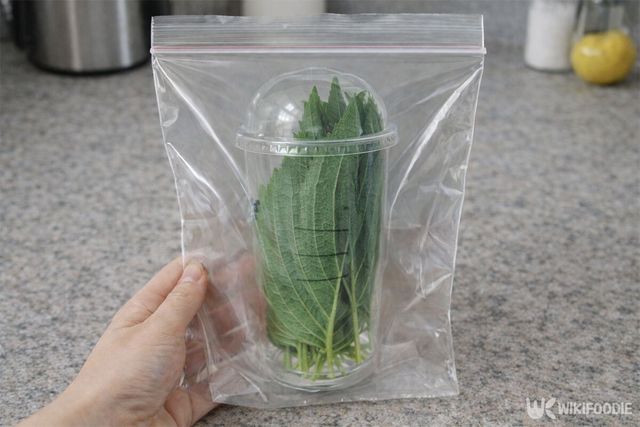 플라스틱 용기에 담은 깻잎을 지퍼백에 한 번 더 담은 모습이다. / 위키푸디