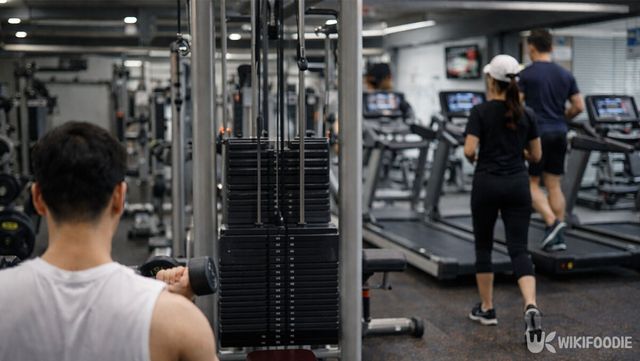 사람들이 운동하고 있는 헬스장의 모습. / 위키푸디