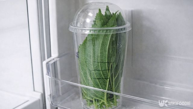 플라스틱 용기에 담은 깻잎이 냉장고 문칸에 보관되어 있다. / 위키푸디