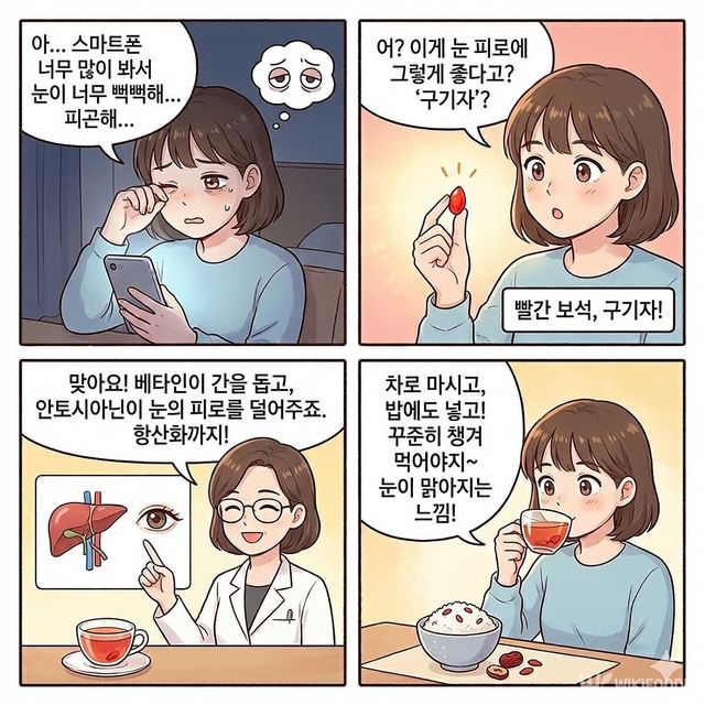 4컷 만화. / 위키푸디