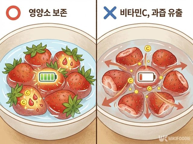 딸기 꼭지 효능 삽화. / 위키푸디