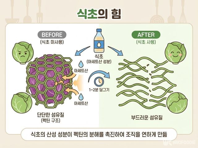 식초 사용 전후 비교 삽화. / 위키푸디