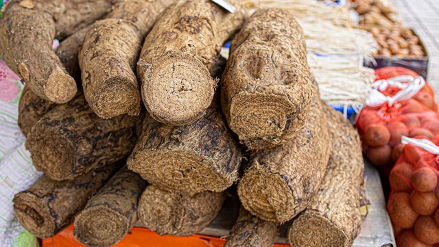 흙이 묻은 상태로 쌓아 올려진 채 판매 중인 생 칡뿌리다. / mujijoa79-shutterstock.com