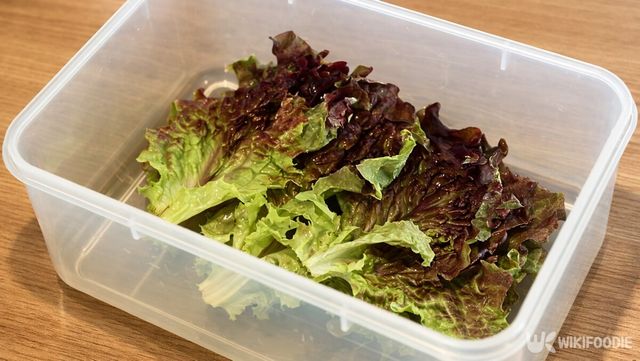 김치통에 상추를 넣어둔 장면. / 위키푸디